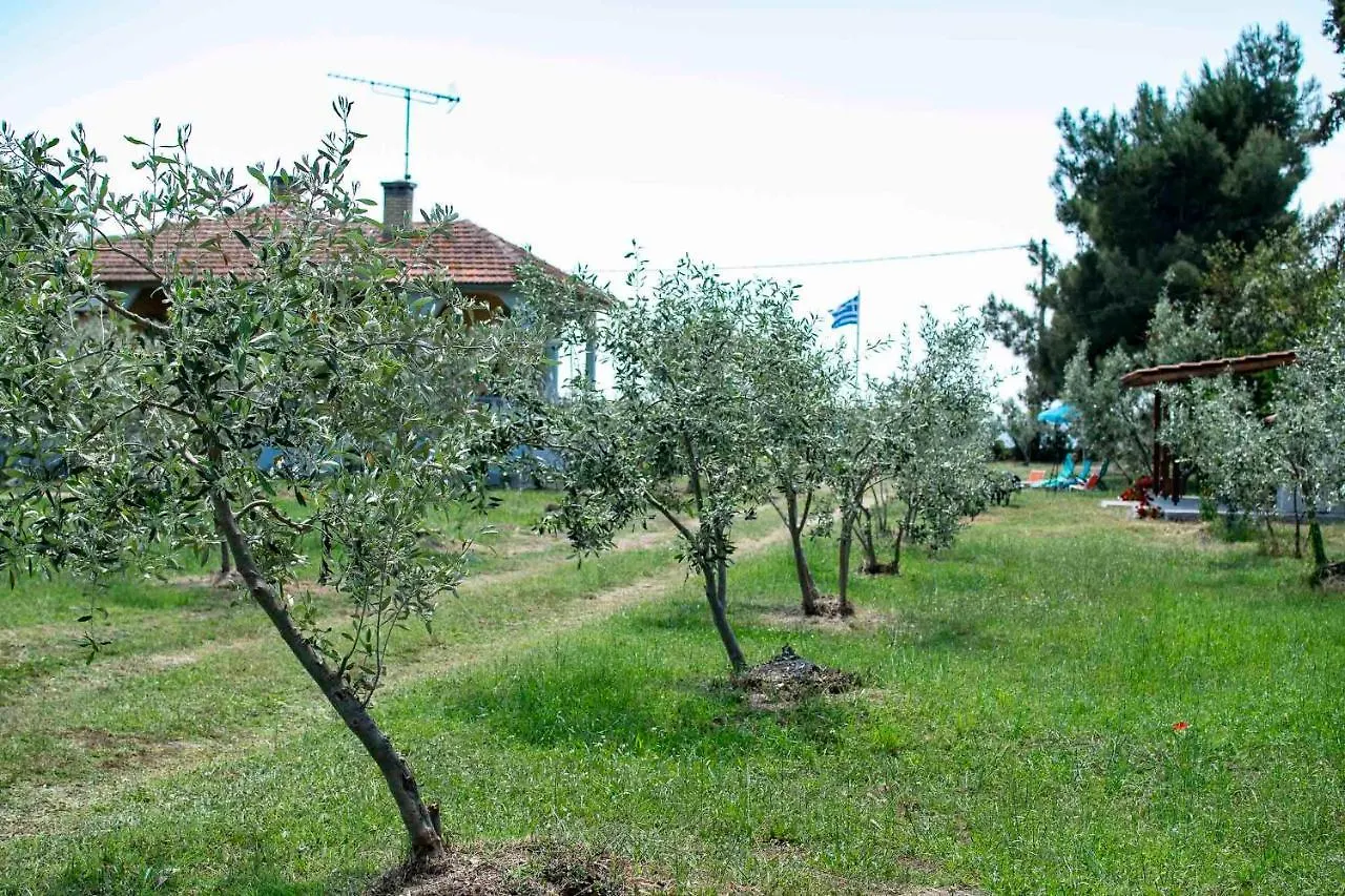 Holiday home Clio Beach House By Travel Pro Services - Metochi Halkidiki Sozopoli